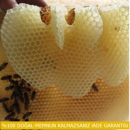 Ege Karakovan Balı - Görsel 2