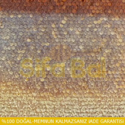 Fenni Bal - Görsel 3