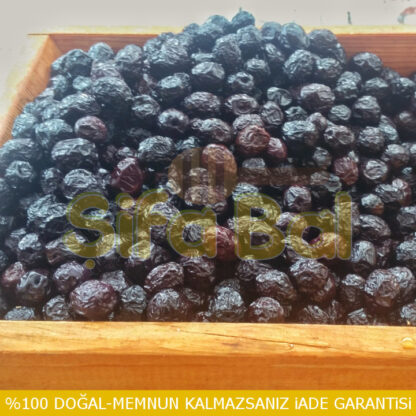 Gemlik Zeytini (Dalda Kuruma)