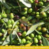 Yeşil Zeytin (El Kırması) - Görsel 2