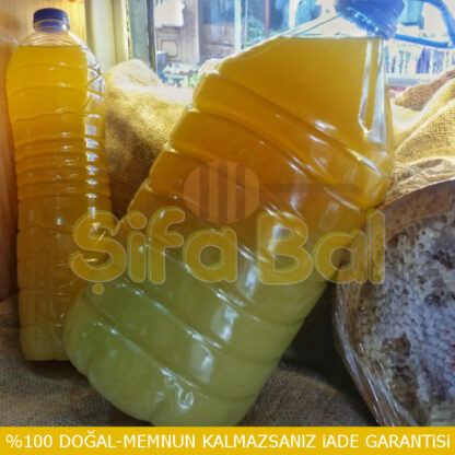 Milas Zeytinyağı (Soğuk Sıkım)